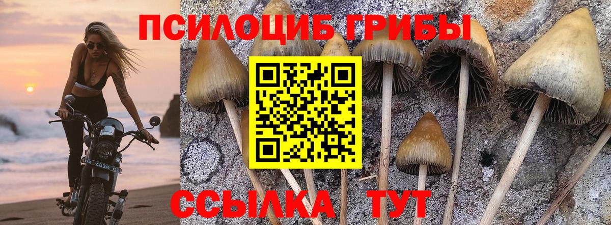 Галлюциногенные грибы MAGIC MUSHROOMS Апатиты