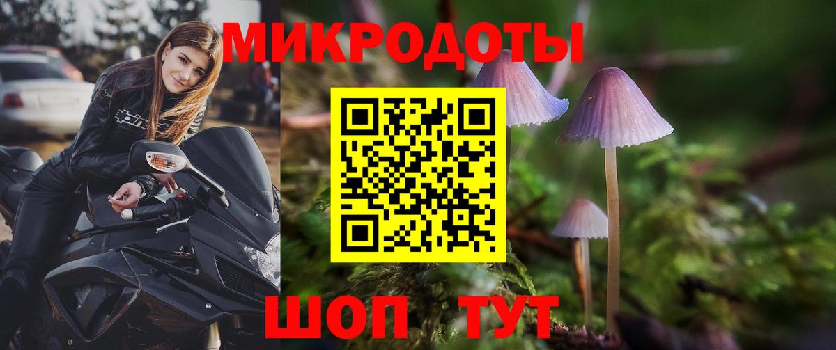 Апатиты  Псилоцибиновые грибы Magic Shrooms  Вход с VPN 